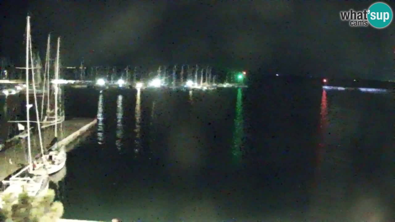 Webcam Sistiana Baia – Live View of the Marina and Gulf