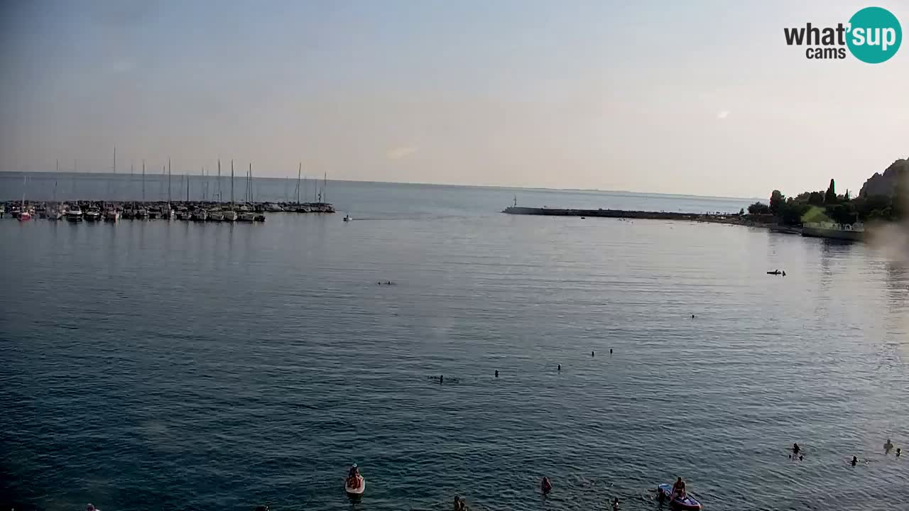 Webcam Sistiana Baia – Live View of the Marina and Gulf