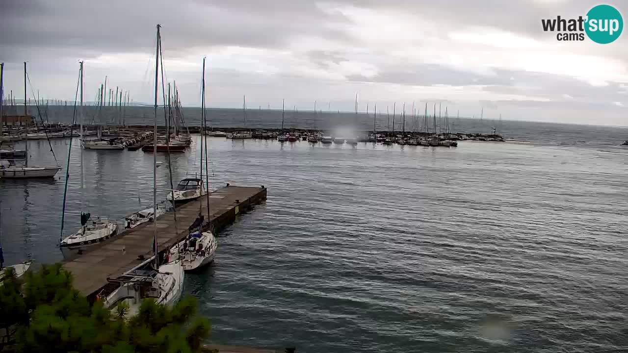 Webcam Baie de Sistiana – Vue en direct de la marina et de la baie