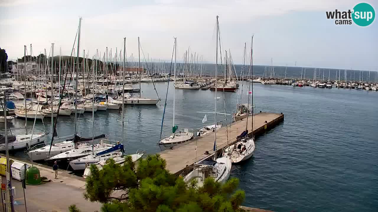Webcam Sistiana Baia – Live View of the Marina and Gulf