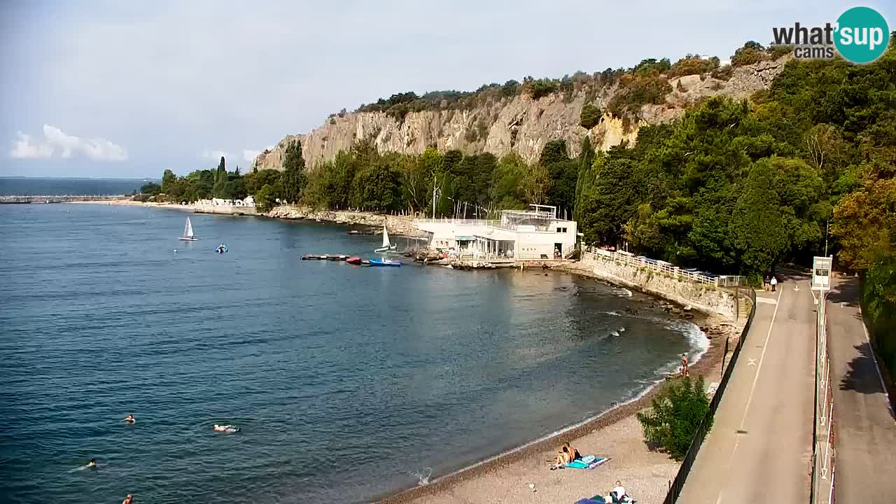 Webcam Sistiana Baia – Live View of the Marina and Gulf