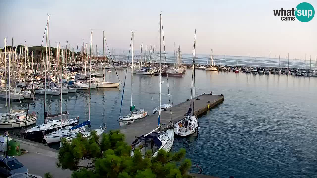 Webcam Bahía de Sistiana – Vista en directo del puerto deportivo y la costa