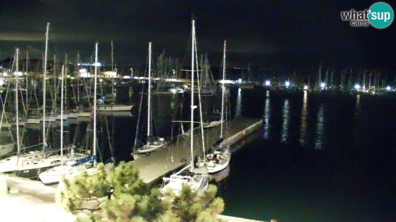 Webcam Bahía de Sistiana – Vista en directo del puerto deportivo y la costa