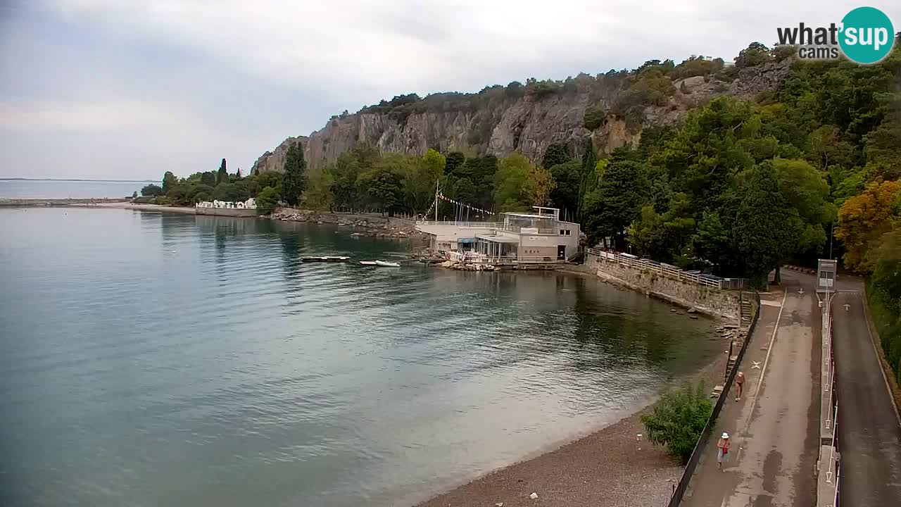 Spletna kamera Sesljanski zaliv – Pogled v živo na marino in zaliv