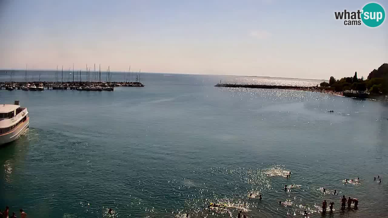 Webcam Sistiana Baia – Live View of the Marina and Gulf