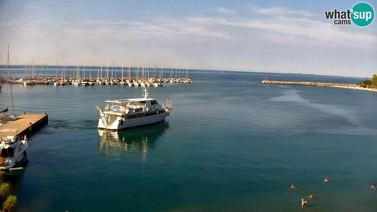 Webcam Sistiana Baia – Live View of the Marina and Gulf