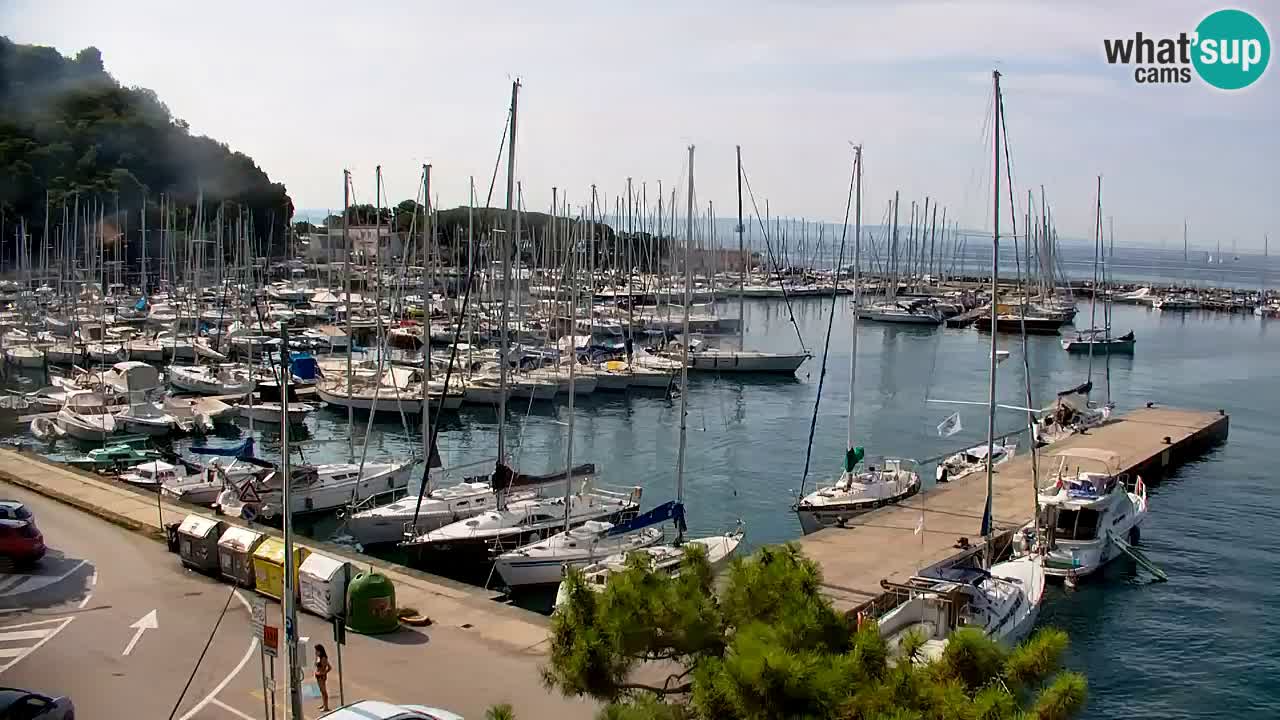 Webcam Sistiana Baia – Live View of the Marina and Gulf
