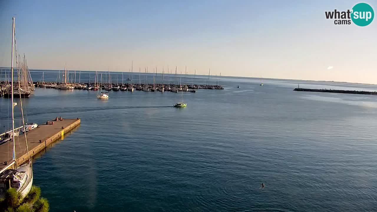 Webcam Sistiana Baia – Live View of the Marina and Gulf