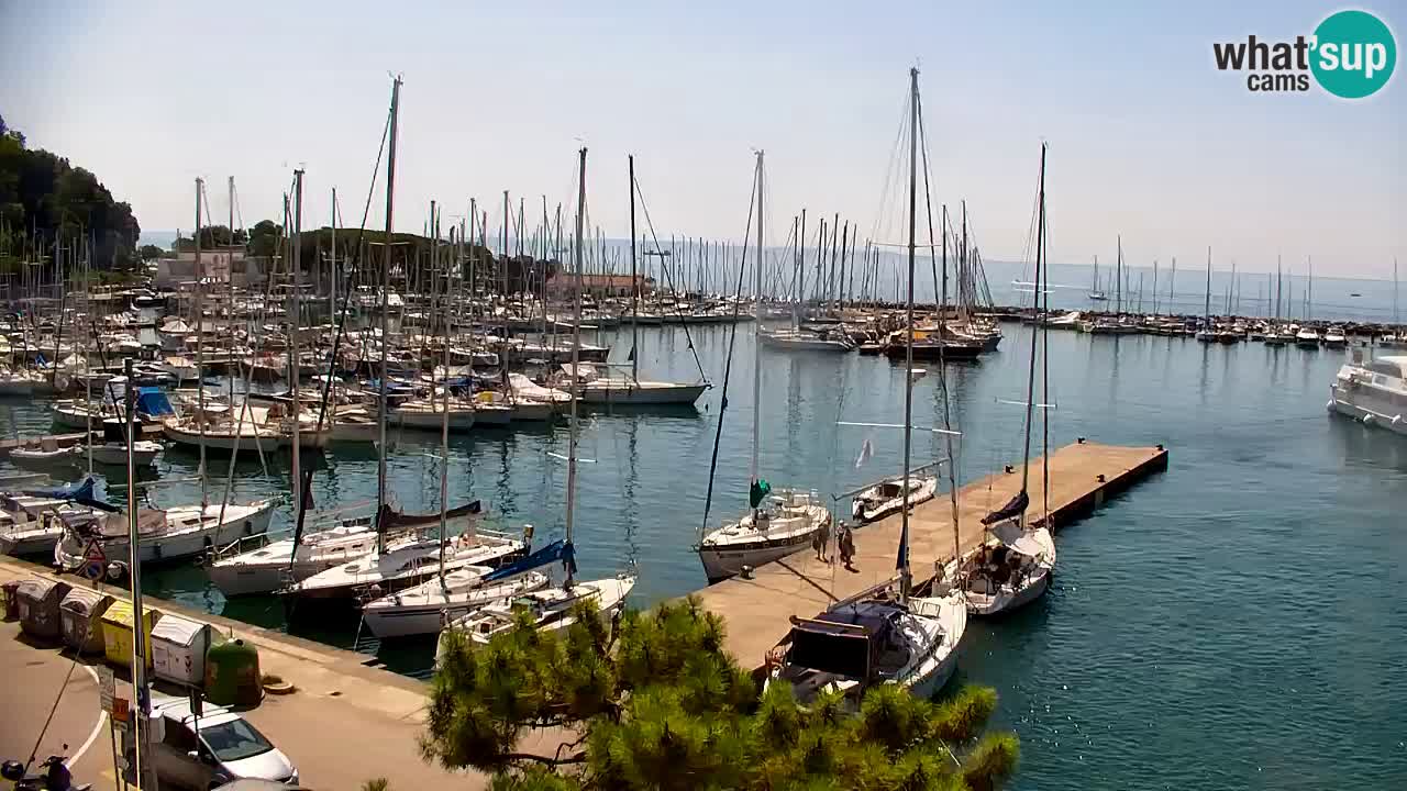 Webcam Sistiana Baia – Live View of the Marina and Gulf