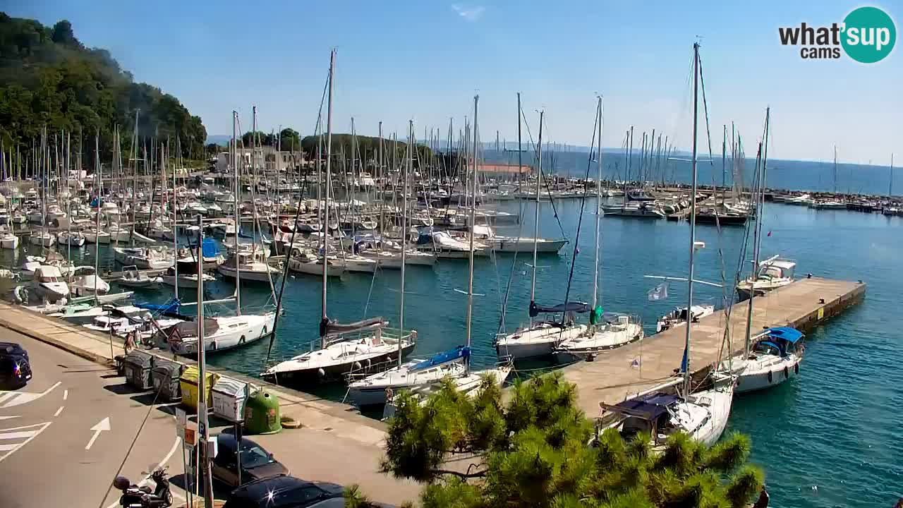Webcam Sistiana Baia – Live View of the Marina and Gulf