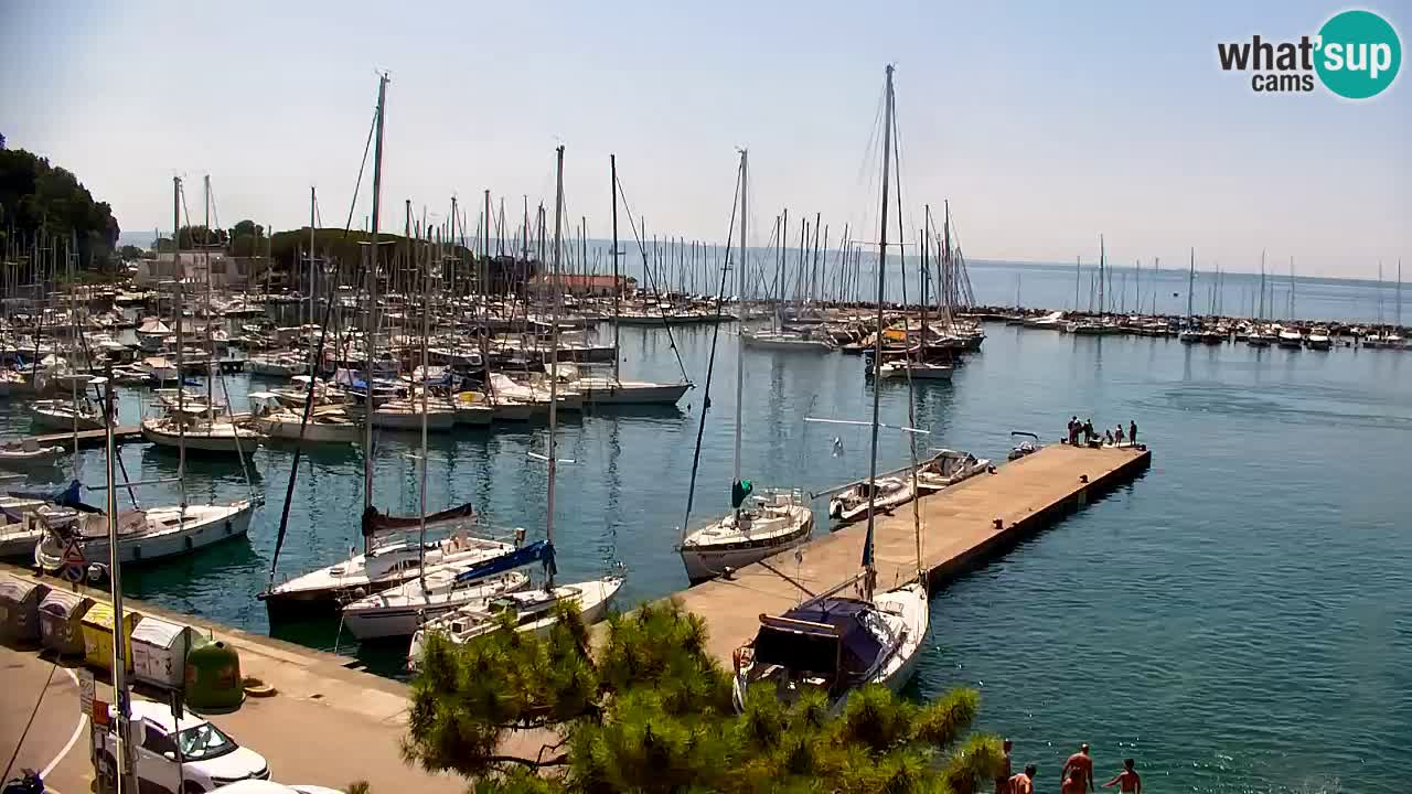 Webcam Sistiana Baia – Live View of the Marina and Gulf