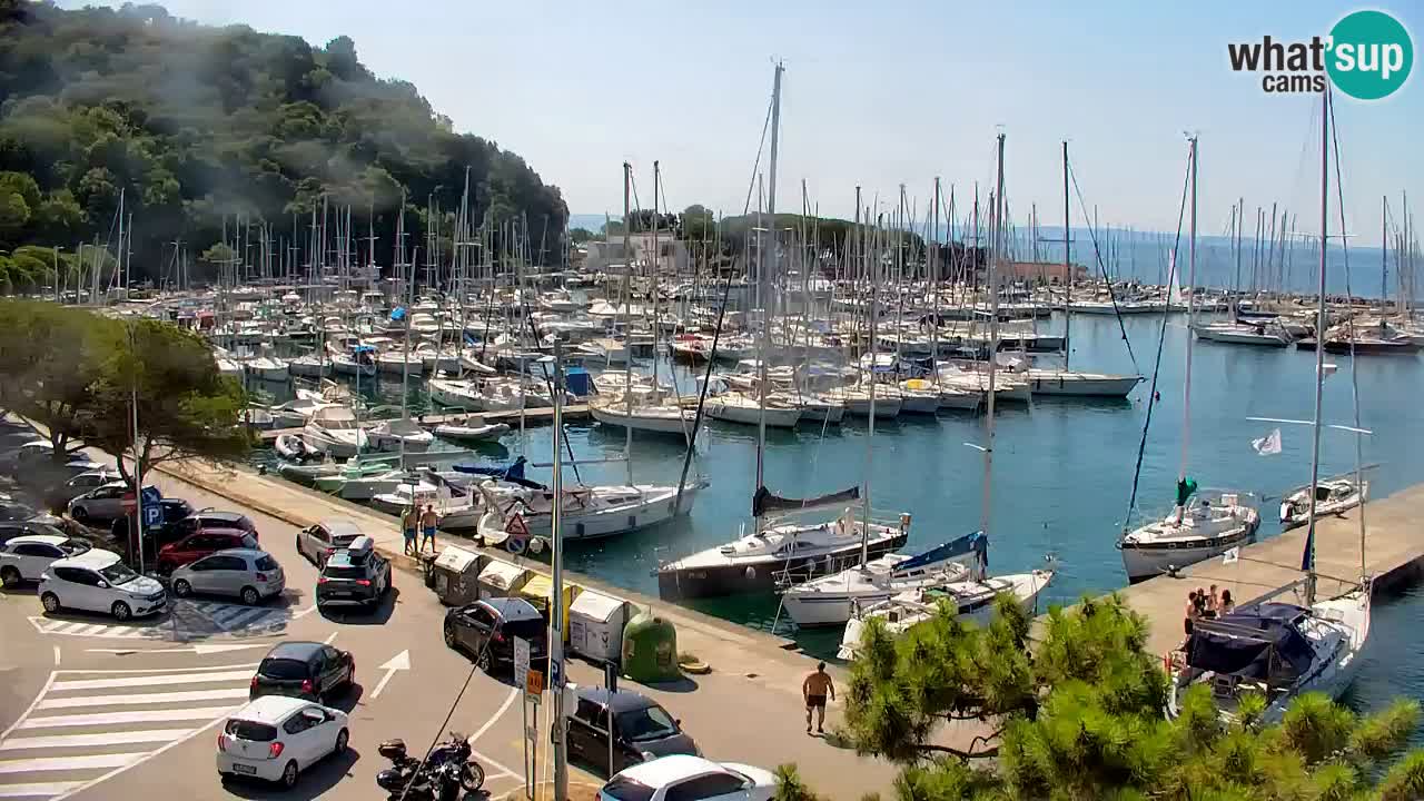 Webcam Sistiana Baia – Live View of the Marina and Gulf