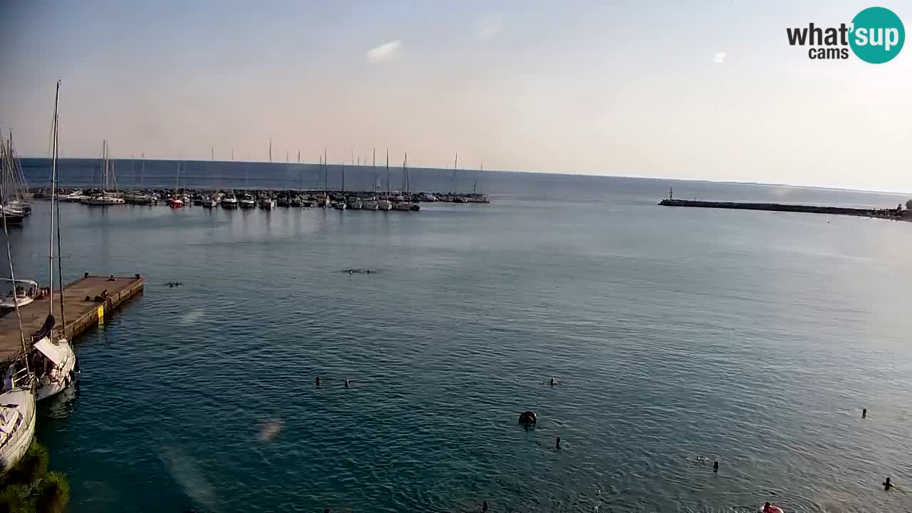 Webcam Sistiana Baia – Live View of the Marina and Gulf