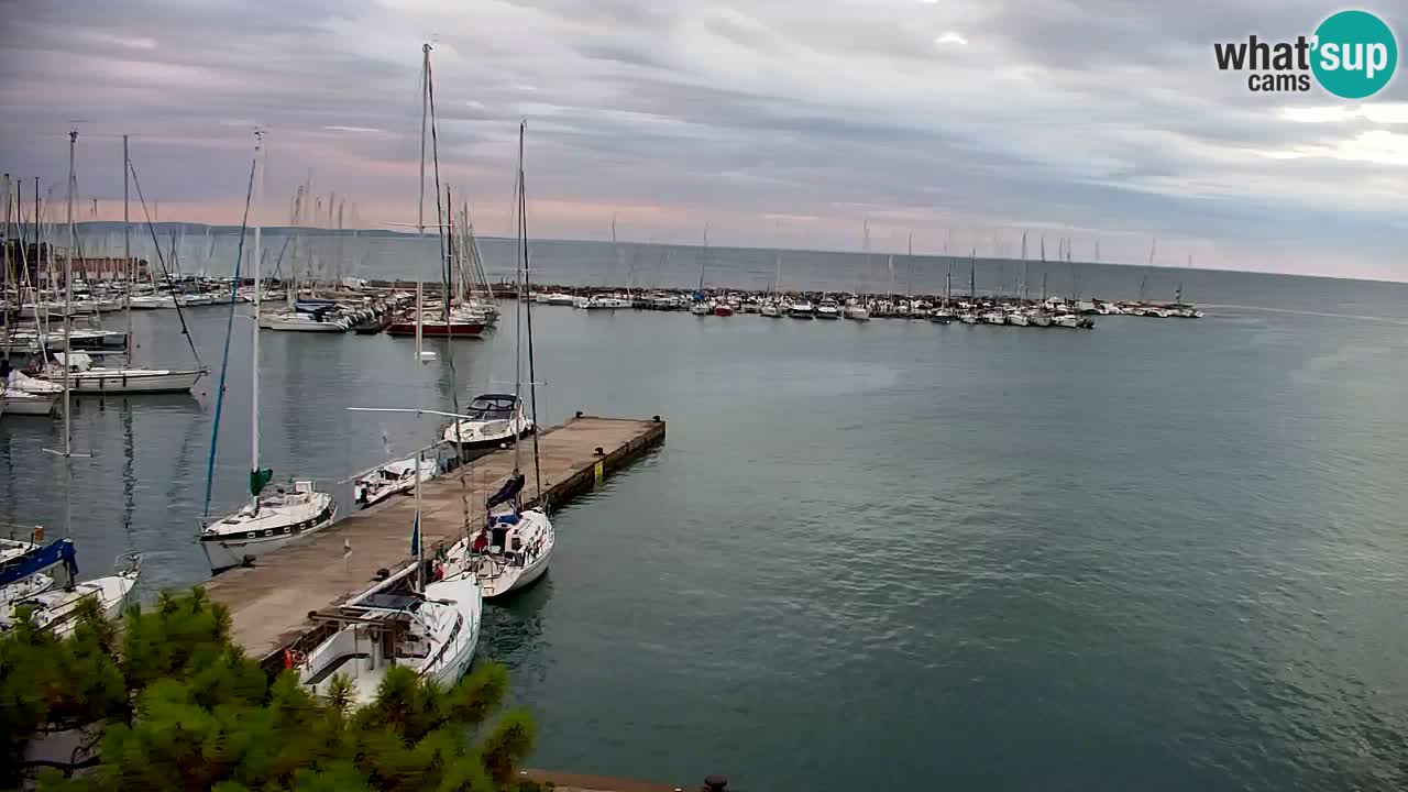 Webcam Bahía de Sistiana – Vista en directo del puerto deportivo y la costa
