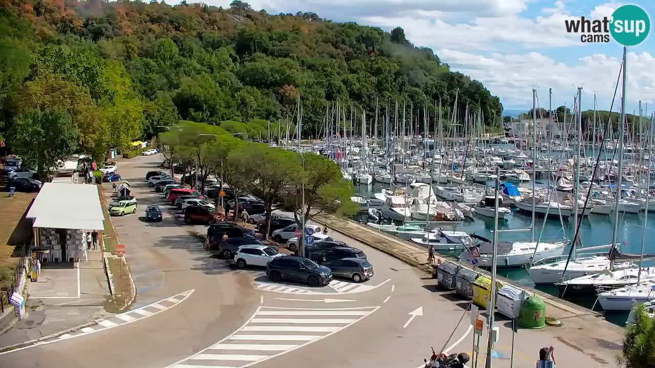 Webcam Sistiana Baia – Live View of the Marina and Gulf