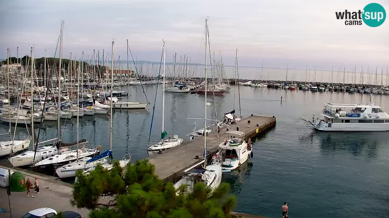 Webcam Sistiana Baia – Live View of the Marina and Gulf