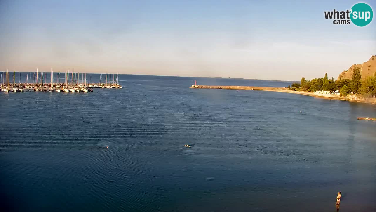 Webcam Bahía de Sistiana – Vista en directo del puerto deportivo y la costa