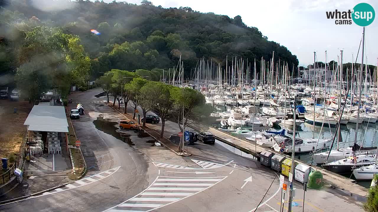 Webcam Sistiana Baia – Live View of the Marina and Gulf