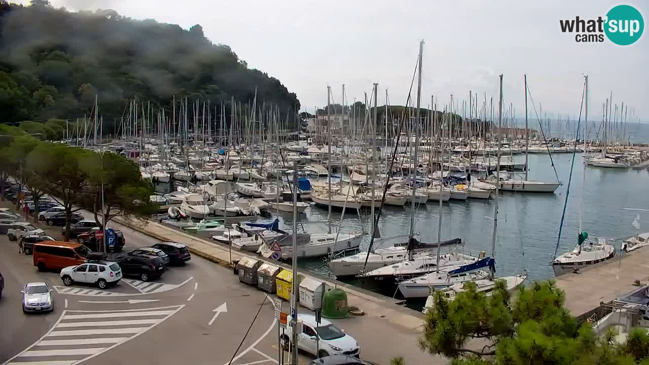 Webcam Sistiana Baia – Live View of the Marina and Gulf