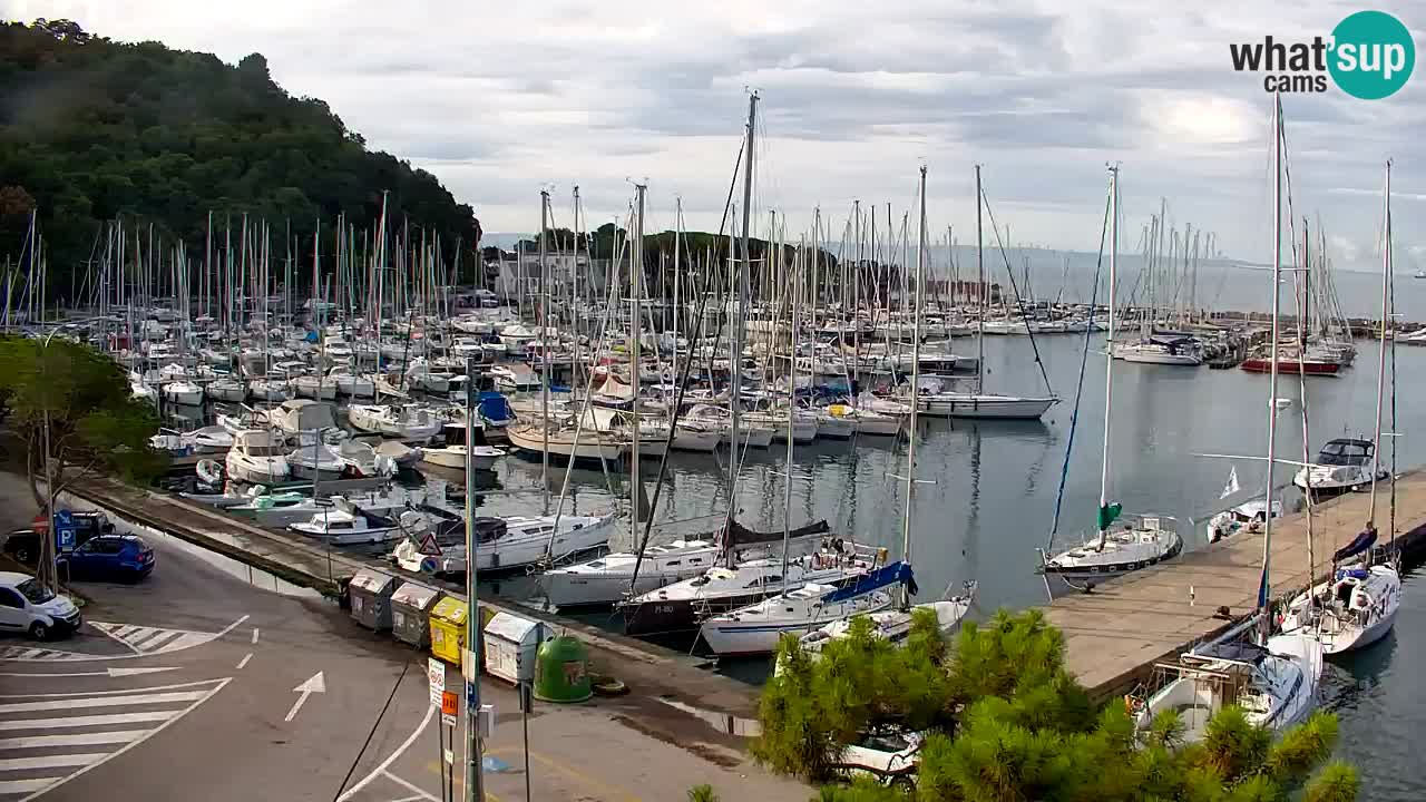 Webcam Sistiana Baia – Live View of the Marina and Gulf
