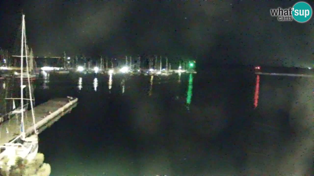 Webcam Sistiana Baia – Live View of the Marina and Gulf