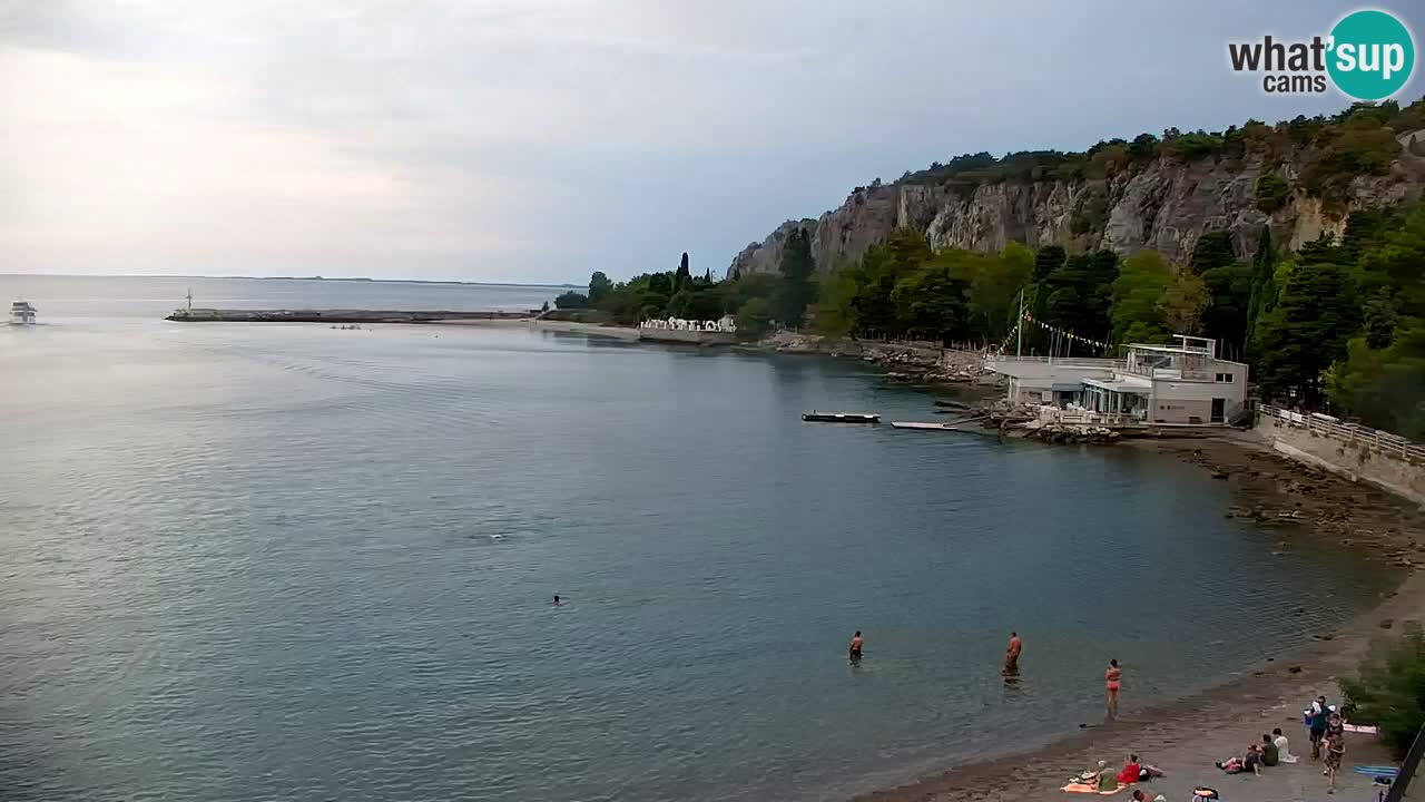 Webcam Sistiana Baia – Live View of the Marina and Gulf
