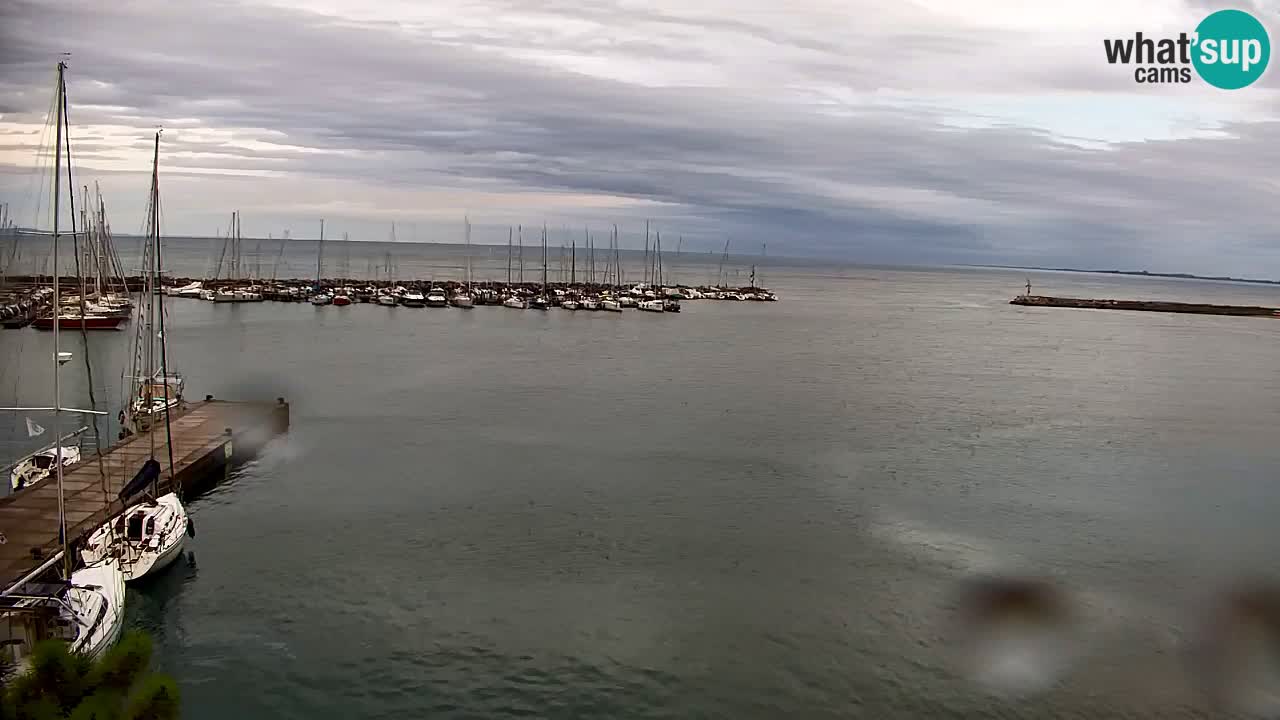 Webcam Sistiana Baia – Live View of the Marina and Gulf