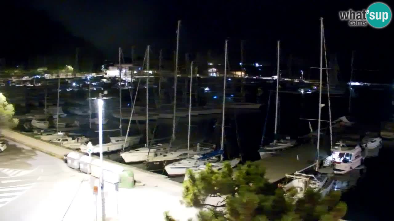 Webcam Bahía de Sistiana – Vista en directo del puerto deportivo y la costa