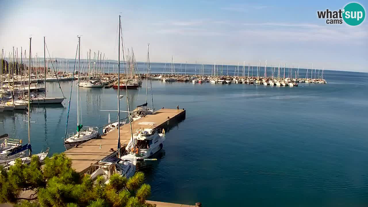 Webcam Baie de Sistiana – Vue en direct de la marina et de la baie