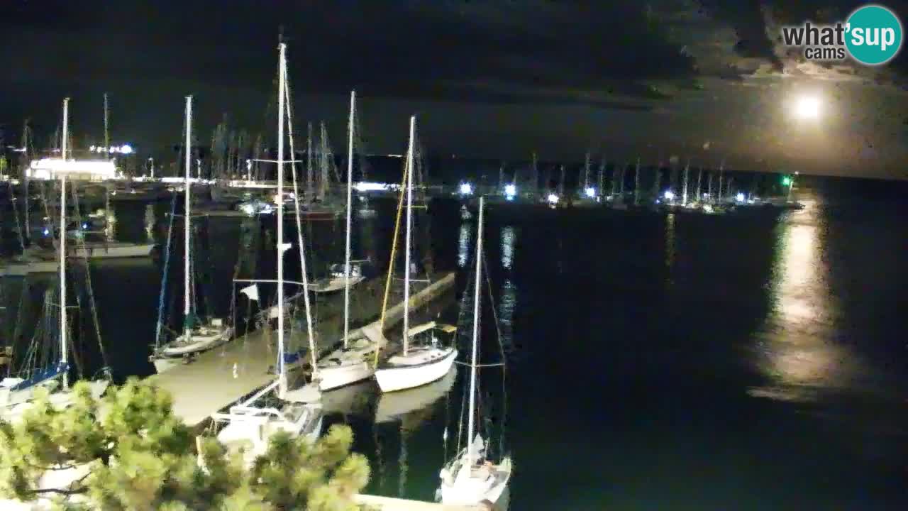 Webcam Sistiana Baia – Live View of the Marina and Gulf