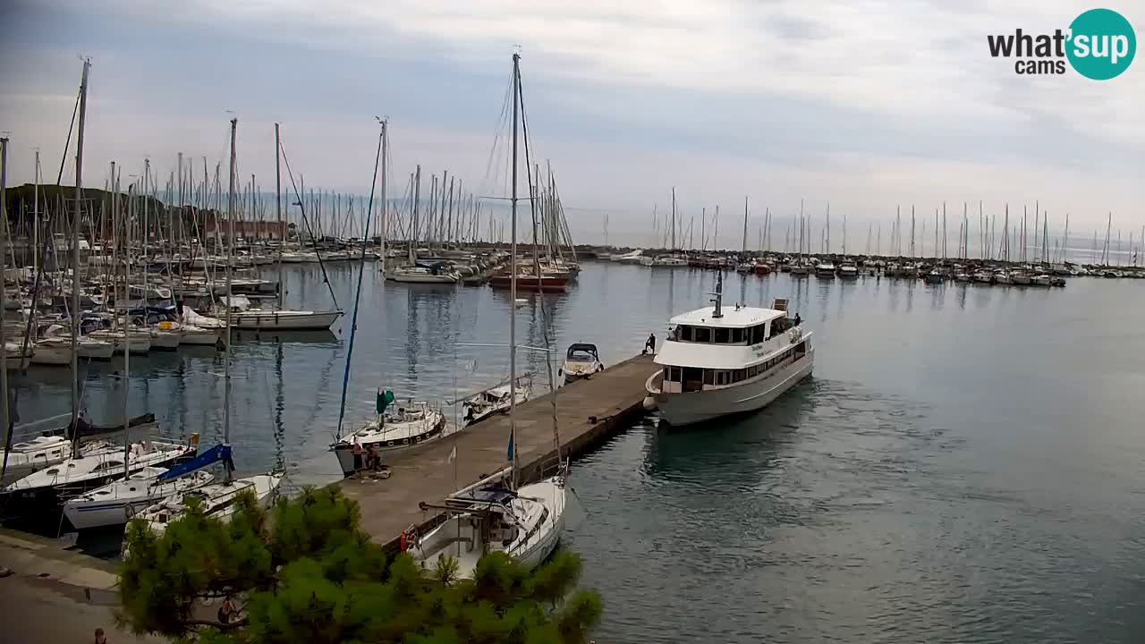 Webcam Sistiana Baia – Live View of the Marina and Gulf