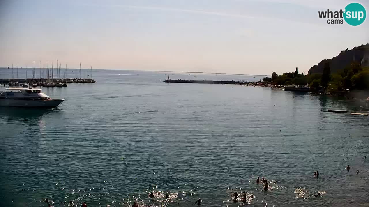 Webcam Sistiana Baia – Live View of the Marina and Gulf