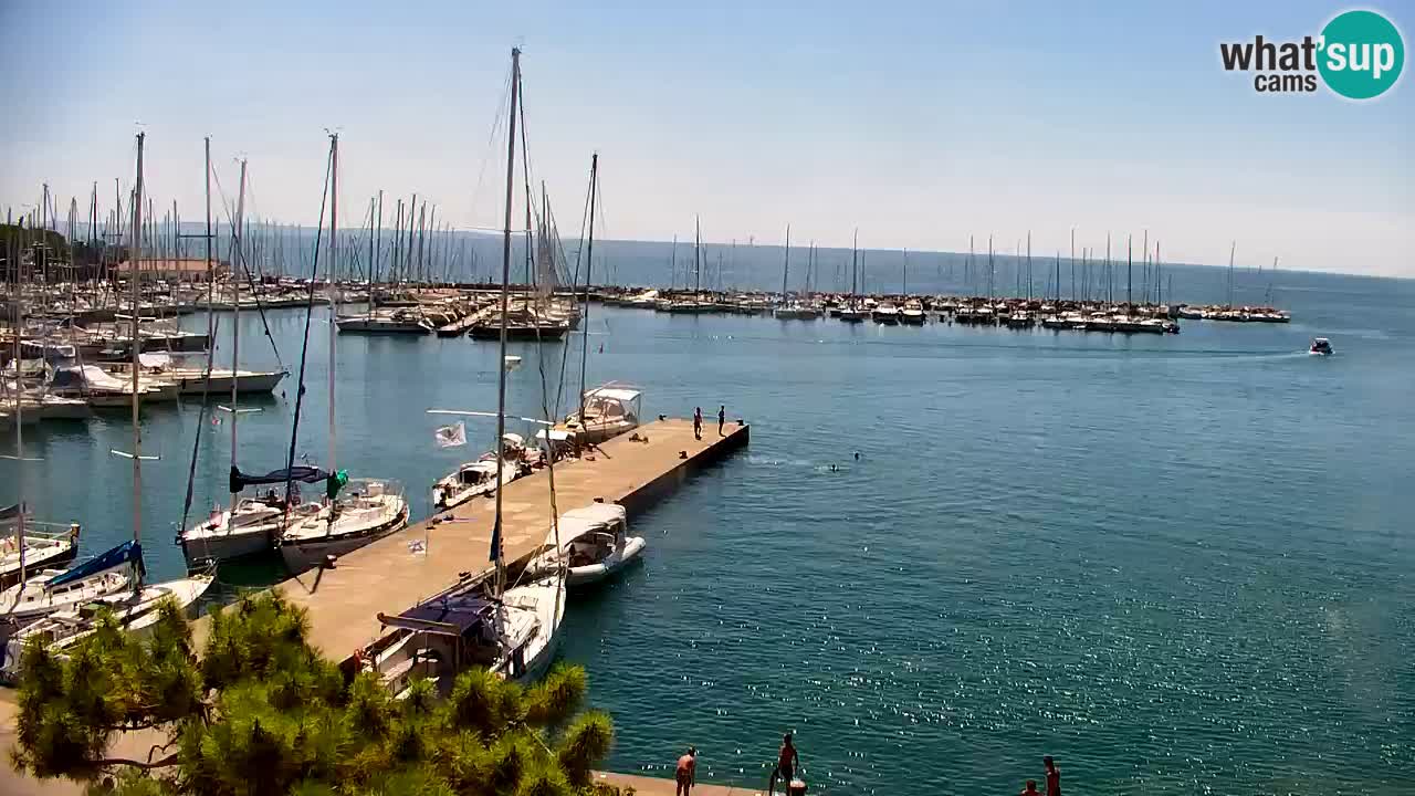 Webcam Bahía de Sistiana – Vista en directo del puerto deportivo y la costa