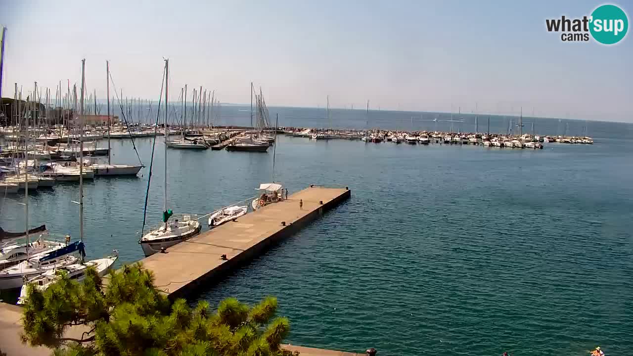 Webcam Sistiana Baia – Live View of the Marina and Gulf