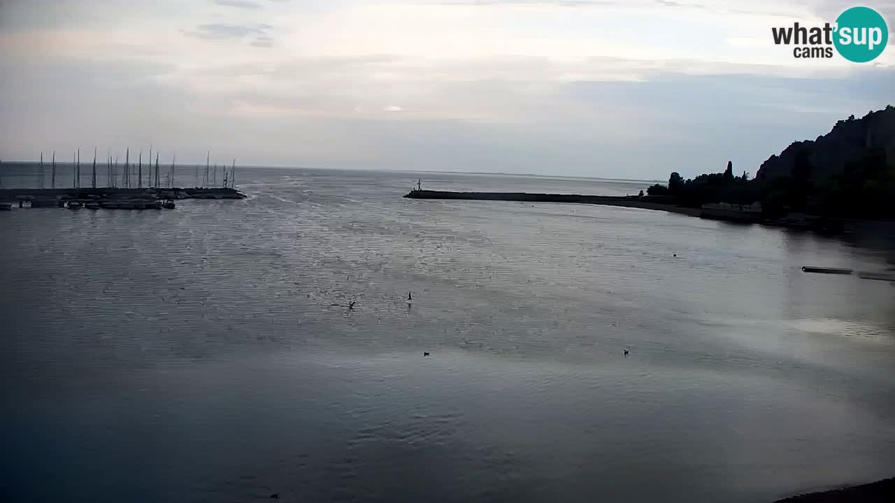 Webcam Baia di Sistiana – Marina e Golfo in diretta