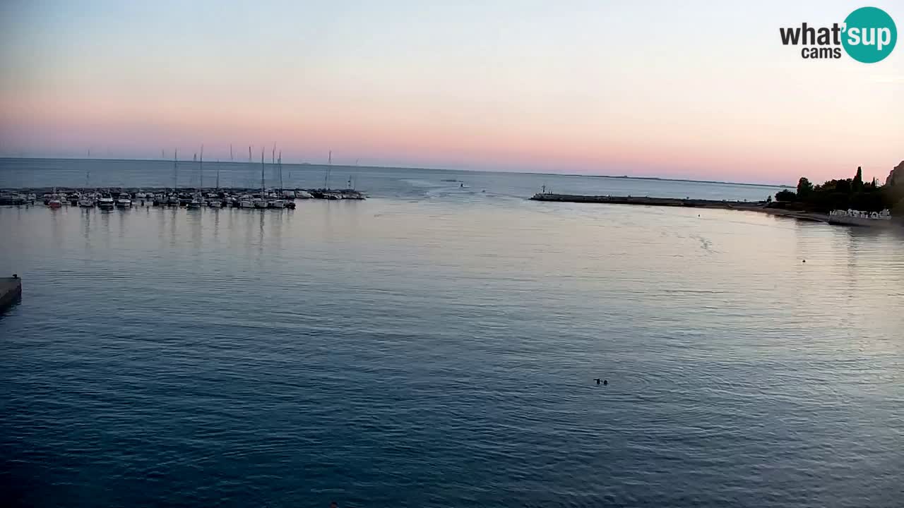 Webcam Sistiana Baia – Live View of the Marina and Gulf