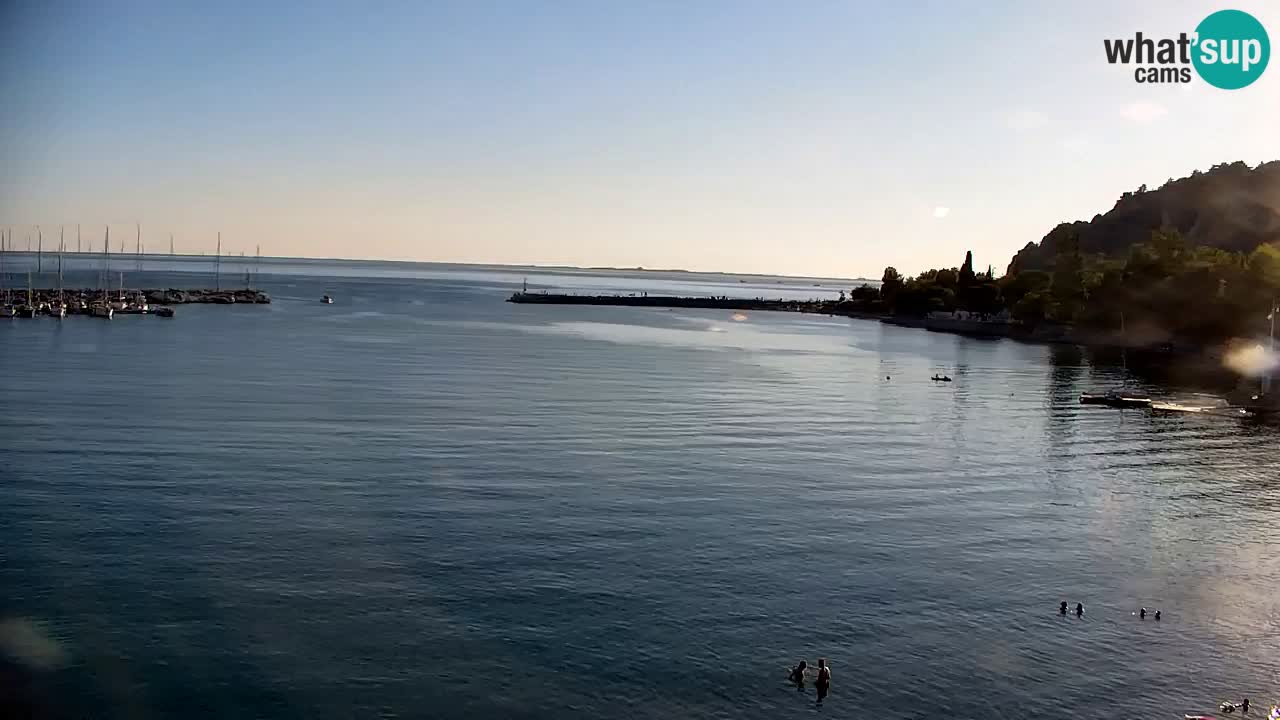 Webcam Baie de Sistiana – Vue en direct de la marina et de la baie