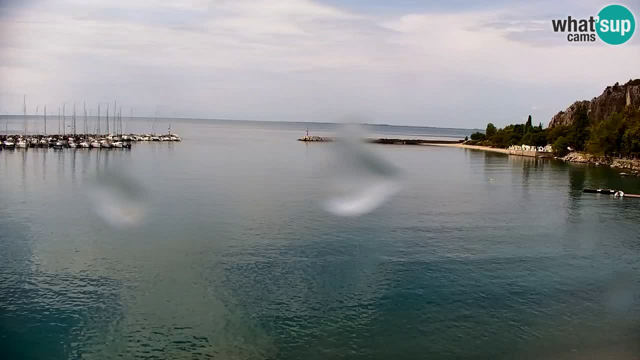 Webcam Sistiana Baia – Live View of the Marina and Gulf