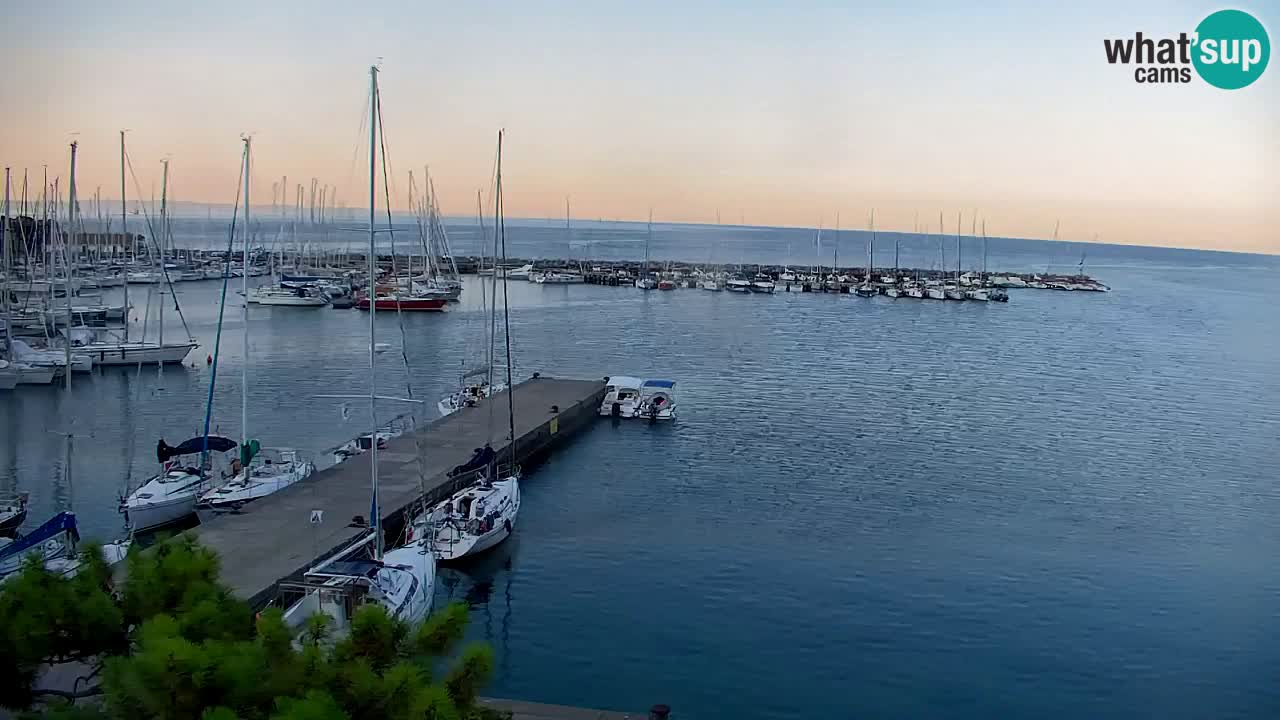 Webcam Sistiana Baia – Live View of the Marina and Gulf