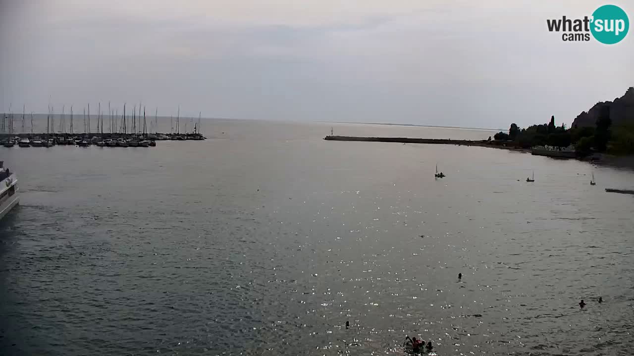 Webcam Bahía de Sistiana – Vista en directo del puerto deportivo y la costa