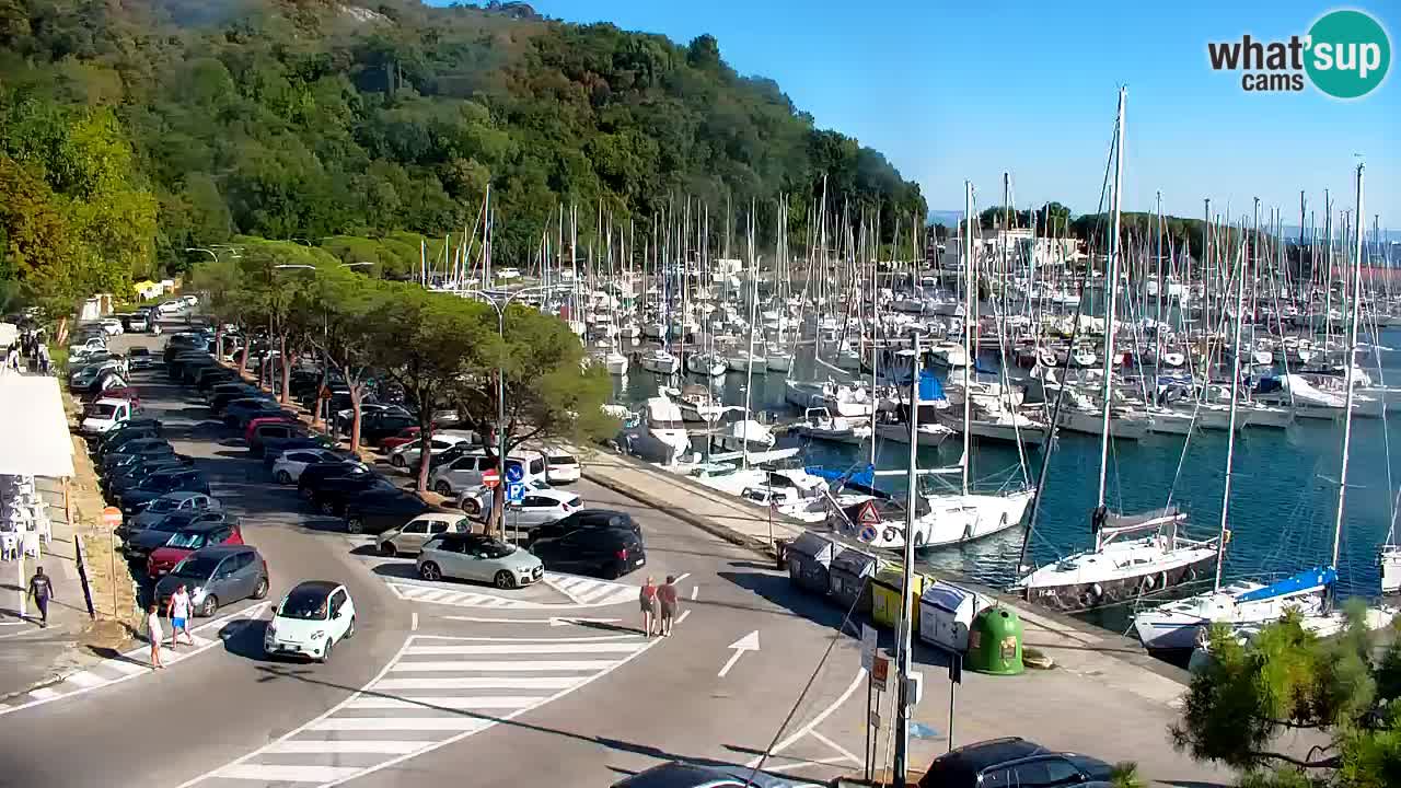 Webcam Bahía de Sistiana – Vista en directo del puerto deportivo y la costa