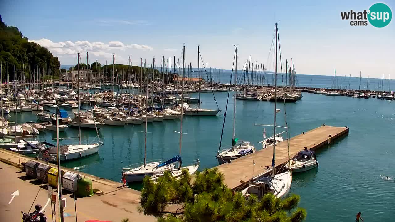 Webcam Sistiana Baia – Live View of the Marina and Gulf