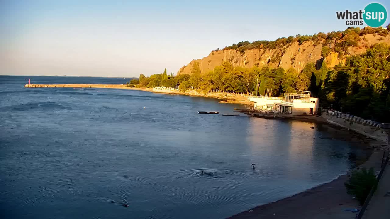 Webcam Sistiana Baia – Live View of the Marina and Gulf