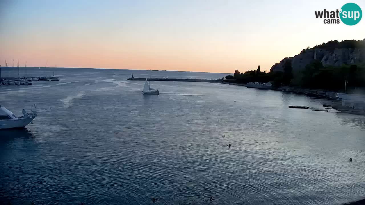 Webcam Sistiana Baia – Live View of the Marina and Gulf