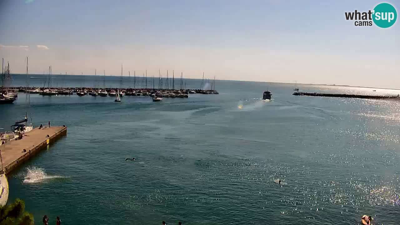 Webcam Sistiana Baia – Live View of the Marina and Gulf