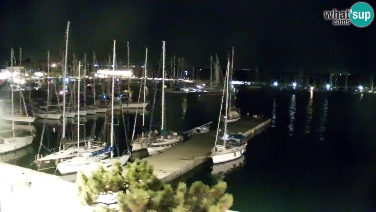 Webcam Sistiana Baia – Live View of the Marina and Gulf