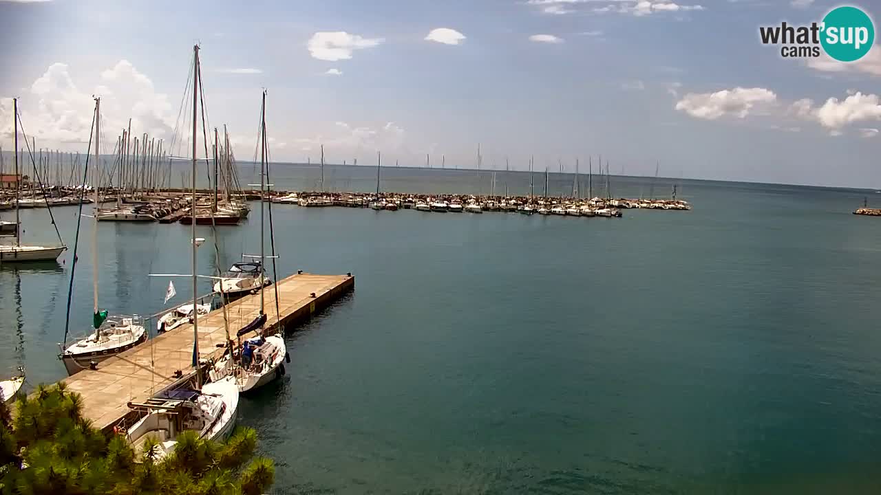 Webcam Sistiana Baia – Live View of the Marina and Gulf