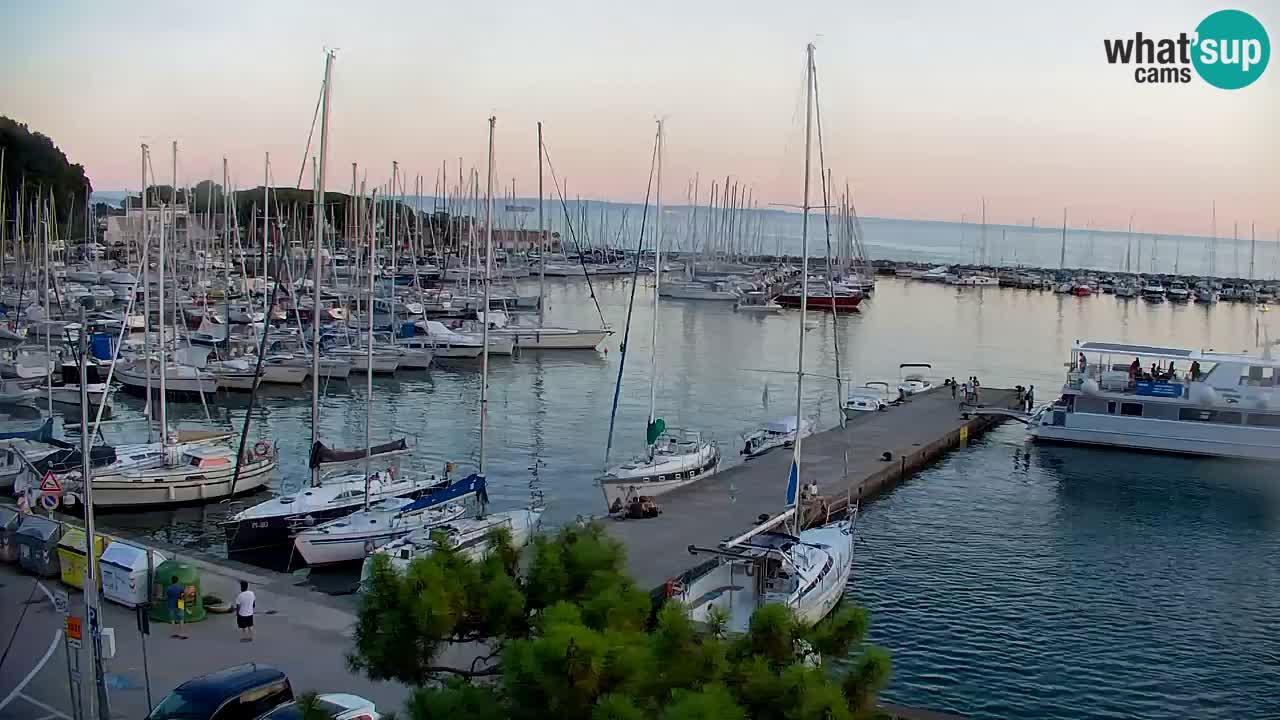 Webcam Sistiana Bucht – Liveblick auf Marina und Bucht