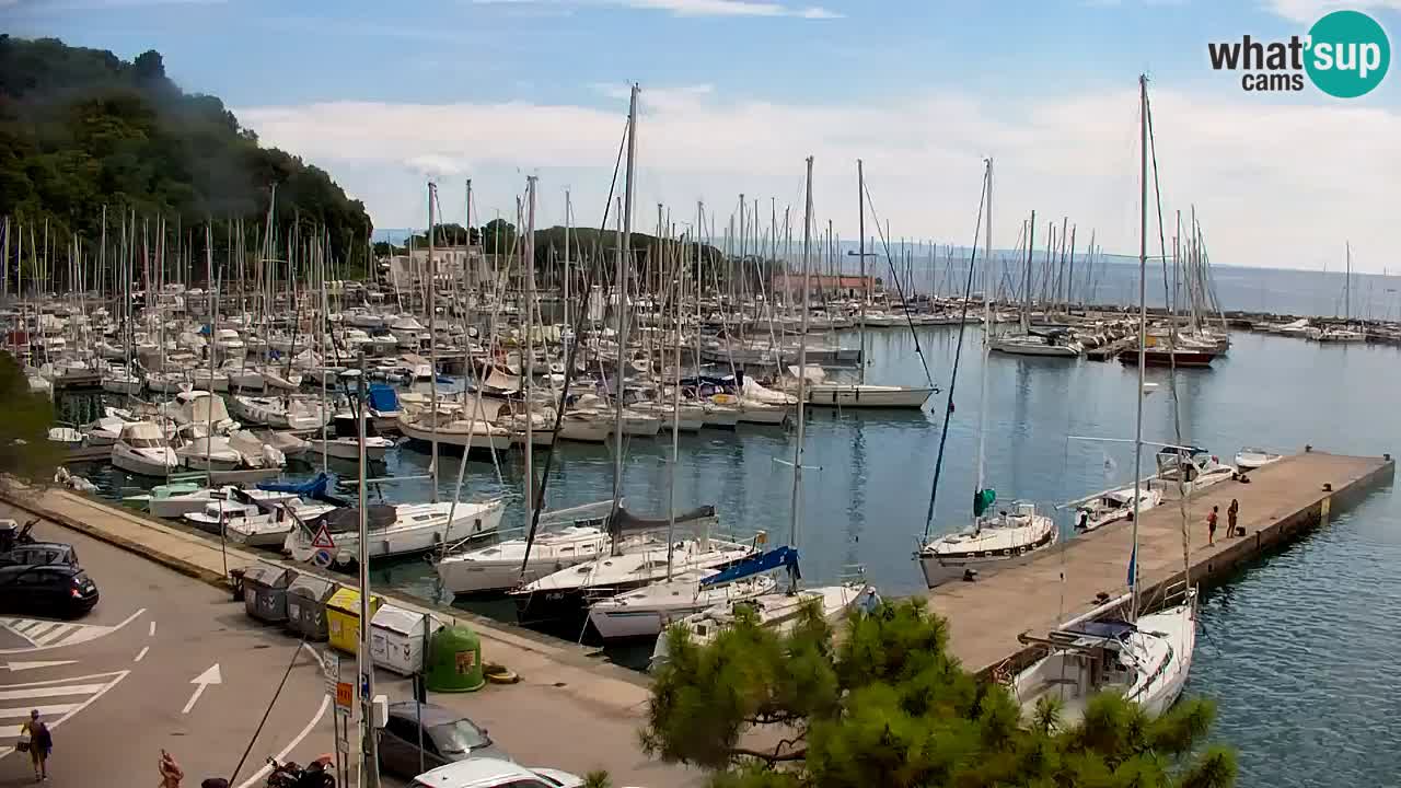 Webcam Baie de Sistiana – Vue en direct de la marina et de la baie