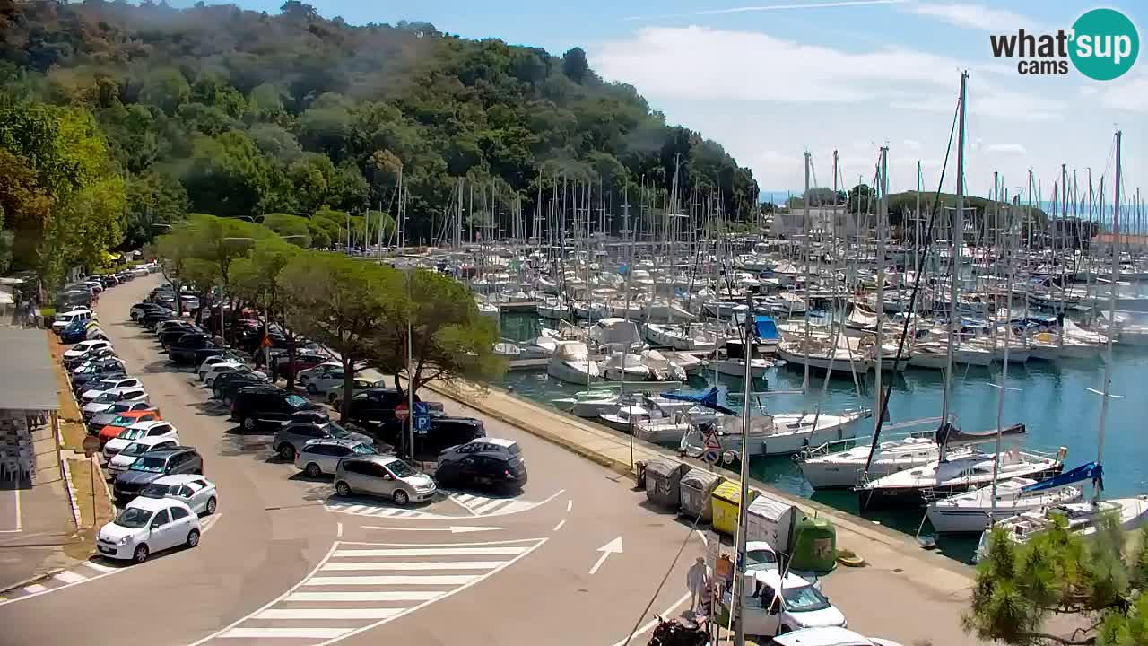 Webcam Sistiana Baia – Live View of the Marina and Gulf